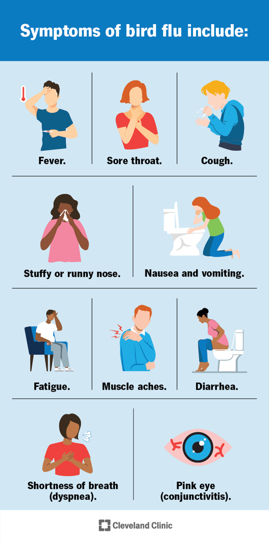 Symptoms In Humans